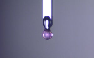 Close-up of a spherical ruby indenter tip used for soft material characterization.